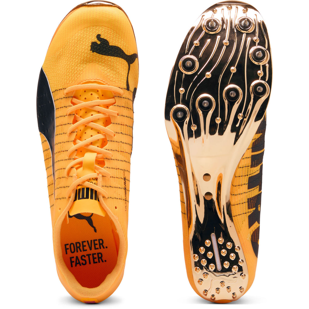 evoSPEED 400 NITRO Elite 2 Sun Stream-Pu