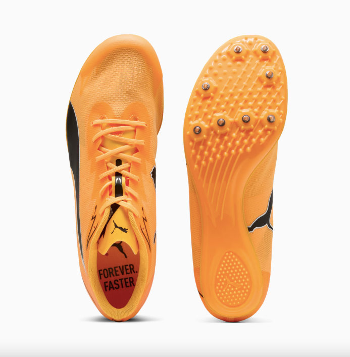 evoSPEED Brush 7