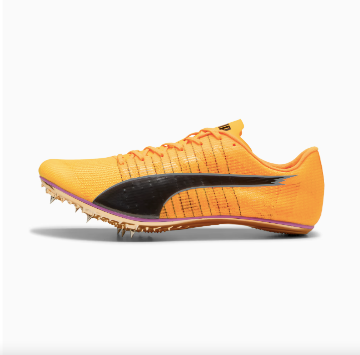 evoSPEED BRUSH 6 Sun Stream-Pure Magenta