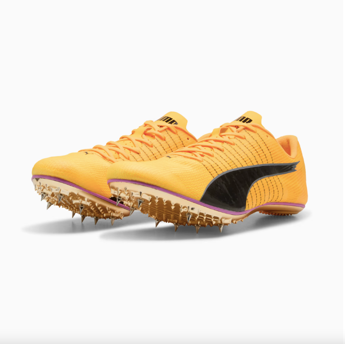 evoSPEED BRUSH 6 Sun Stream-Pure Magenta