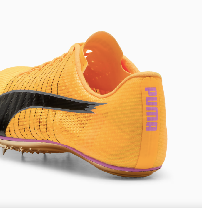 evoSPEED BRUSH 6 Sun Stream-Pure Magenta