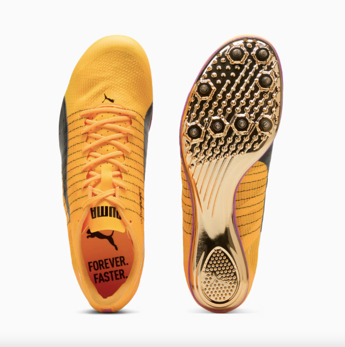 evoSPEED BRUSH 6 Sun Stream-Pure Magenta