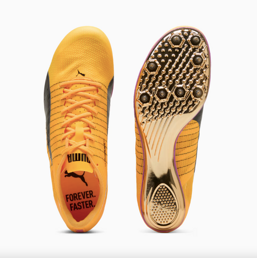 evoSPEED BRUSH 6 Sun Stream-Pure Magenta